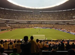 美拟下周公,和平路线图,俄乌冲突缓,广州马会,赛程安排,赛马赛事,马匹资料,会员服务