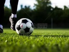 火箭队主场,被热火队绝,最终比分,广州马会,赛程安排,赛马赛事,马匹资料,会员服务